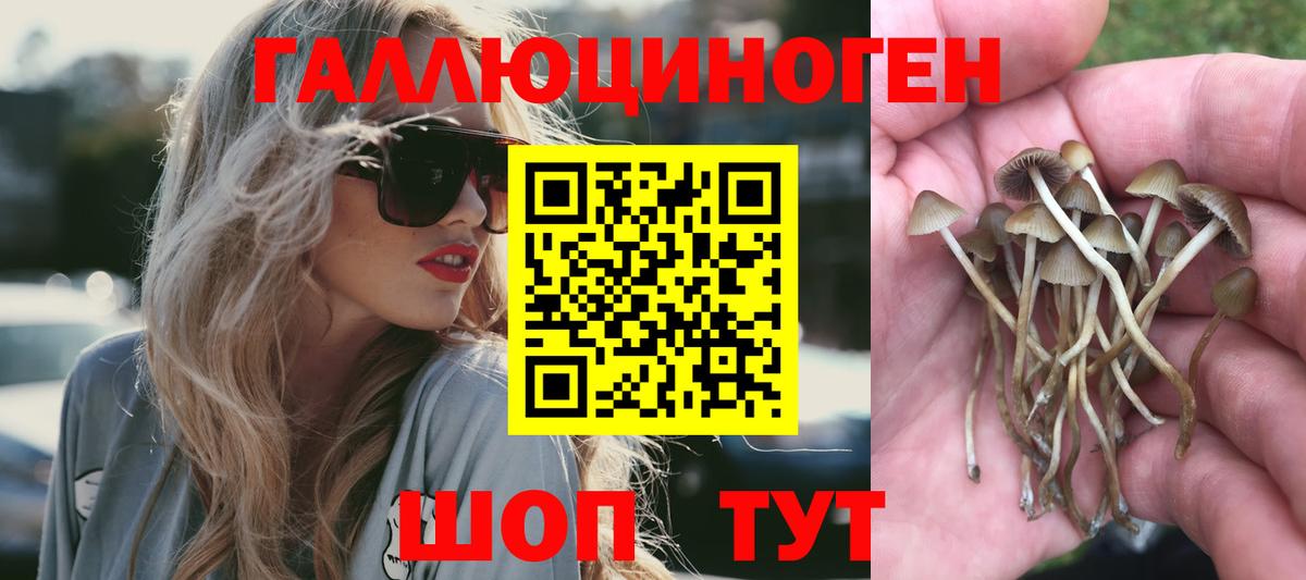 хочу наркоту  Галлюциногенные грибы мухоморы  Вход с VPN  Мариинск 