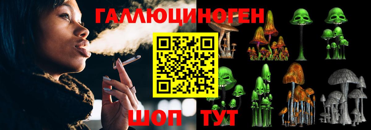 Псилоцибиновые грибы Psilocybine cubensis Мариинск